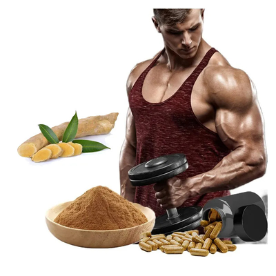Natural Tongkat Ali Beta Ecdysterone Turkesterone Capsules Dominant Male Pills